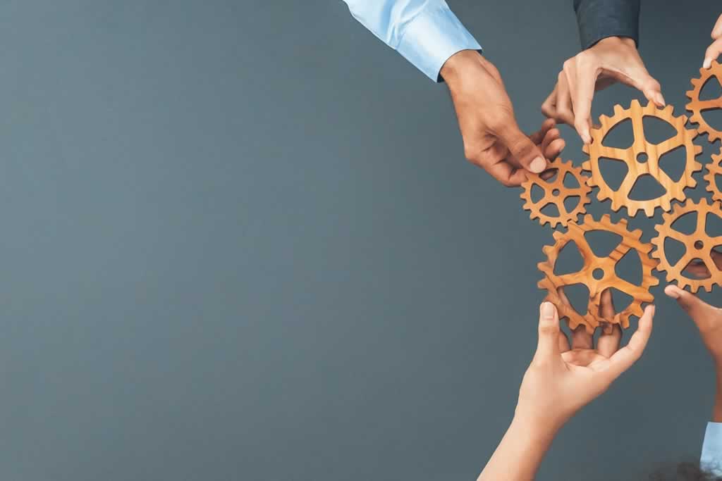 professional standards showing cogs being put together